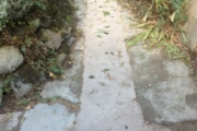 Renewal of Drains- Chester